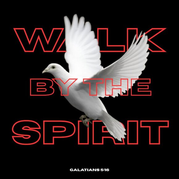 BUY ON ETSY Forward Christian Clothing | WALK IN THE SPIRIT Galatians 5:16 - Picture 2 of 3